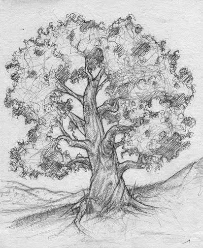 33 super idées de dessins d'arbres : pour apprendre à dessiner un arbre 32