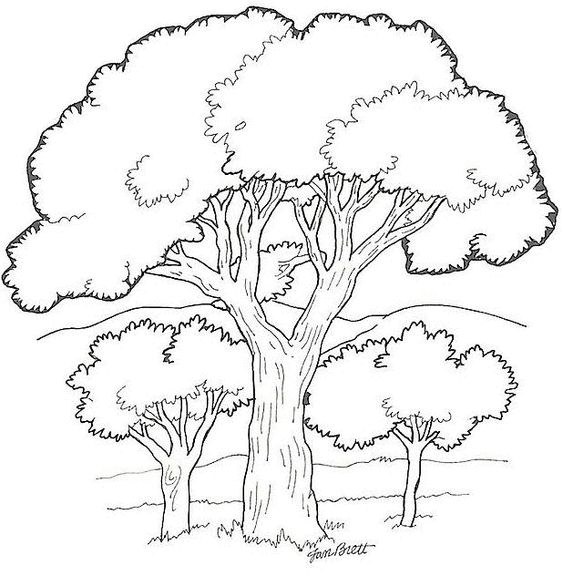 33 super idées de dessins d'arbres : pour apprendre à dessiner un arbre 6