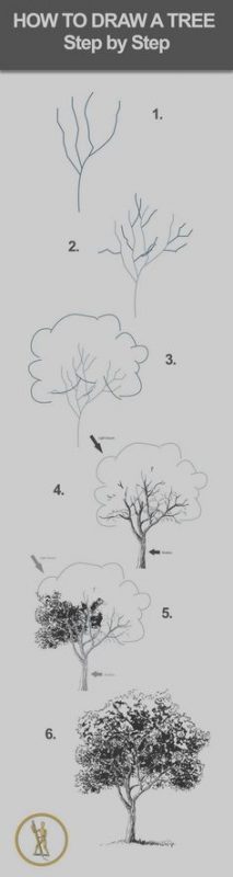 33 super idées de dessins d'arbres : pour apprendre à dessiner un arbre 2