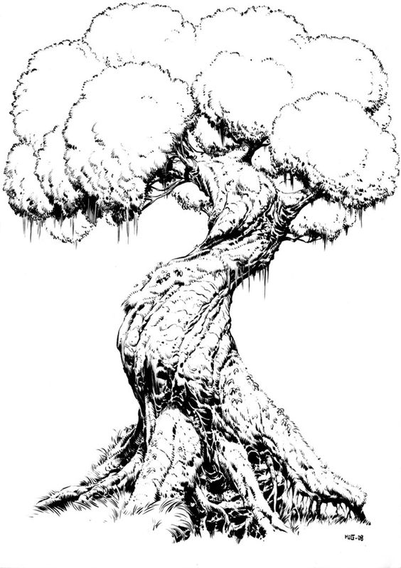 33 super idées de dessins d'arbres : pour apprendre à dessiner un arbre 10