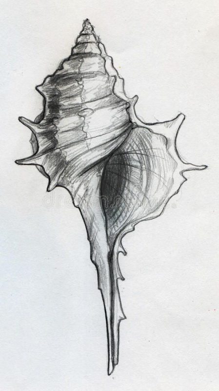 62 idées de dessins en noir et blanc pour apprendre a dessiner au crayon 24 62 idées de dessins en noir et blanc pour apprendre a dessiner au crayon 24