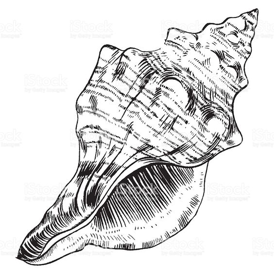 62 idées de dessins en noir et blanc pour apprendre a dessiner au crayon 27 62 idées de dessins en noir et blanc pour apprendre a dessiner au crayon 27