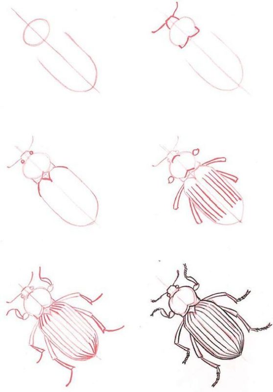 62 idées de dessins en noir et blanc pour apprendre a dessiner au crayon 8 62 idées de dessins en noir et blanc pour apprendre a dessiner au crayon 8