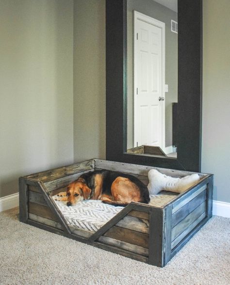 75 top idées de lits pour chiens à faire soi-même 1