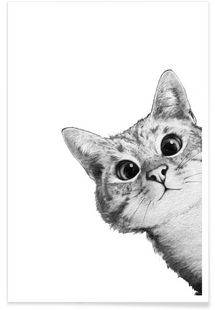 51 top idées & tutos de dessins de chat : pour apprendre à dessiner un chat 15