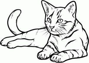 51 top idées & tutos de dessins de chat : pour apprendre à dessiner un chat 18
