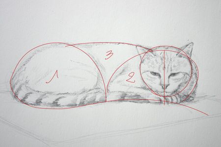 51 top idées & tutos de dessins de chat : pour apprendre à dessiner un chat 21