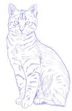 51 top idées & tutos de dessins de chat : pour apprendre à dessiner un chat 24