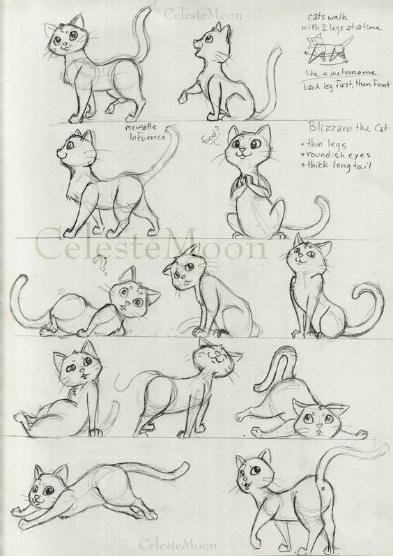 51 top idées & tutos de dessins de chat : pour apprendre à dessiner un chat 26