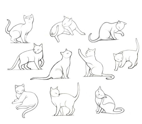 51 top idées & tutos de dessins de chat : pour apprendre à dessiner un chat 33