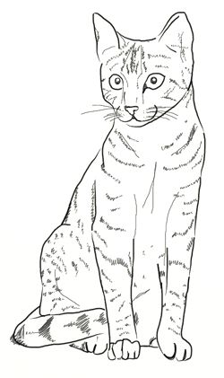 51 top idées & tutos de dessins de chat : pour apprendre à dessiner un chat 34