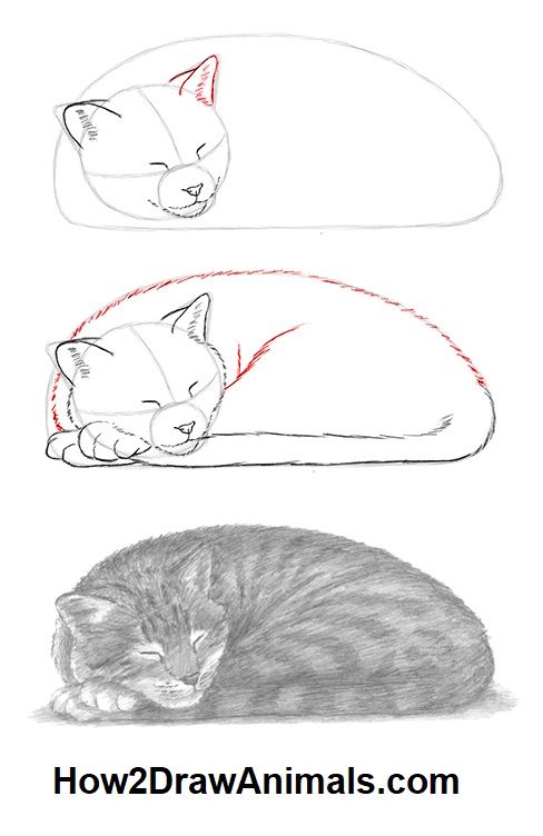 51 top idées & tutos de dessins de chat : pour apprendre à dessiner un chat 35