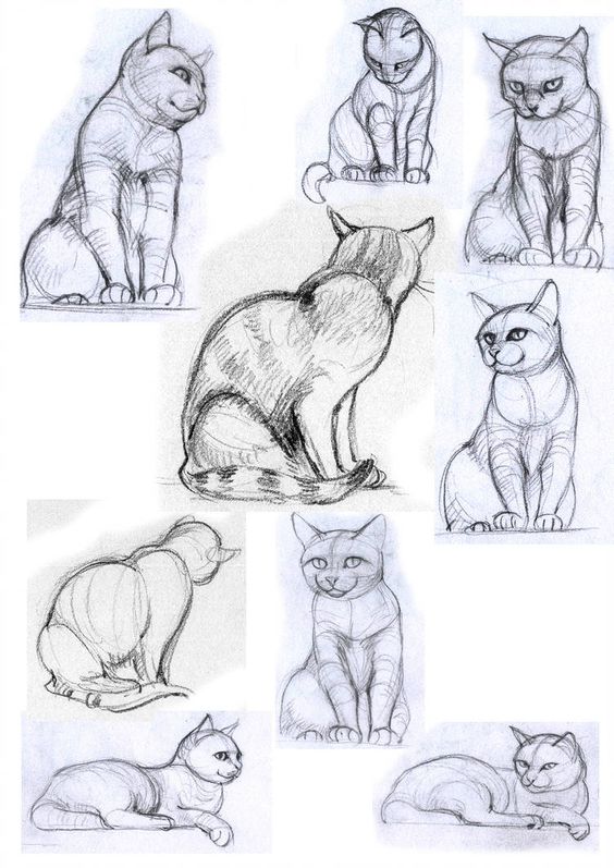 51 top idées & tutos de dessins de chat : pour apprendre à dessiner un chat 38