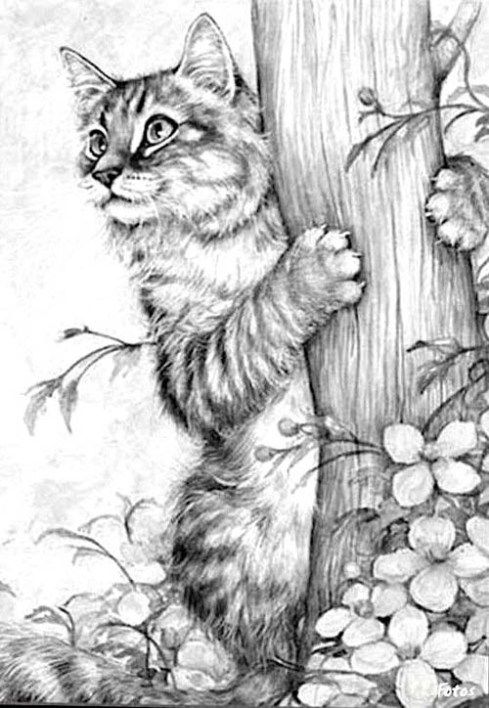 51 top idées & tutos de dessins de chat : pour apprendre à dessiner un chat 39