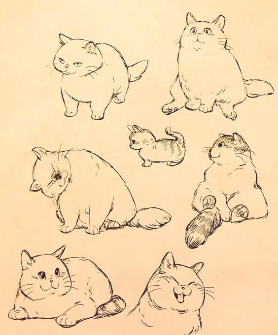 51 top idées & tutos de dessins de chat : pour apprendre à dessiner un chat 40
