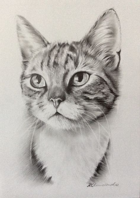 51 top idées & tutos de dessins de chat : pour apprendre à dessiner un chat 43