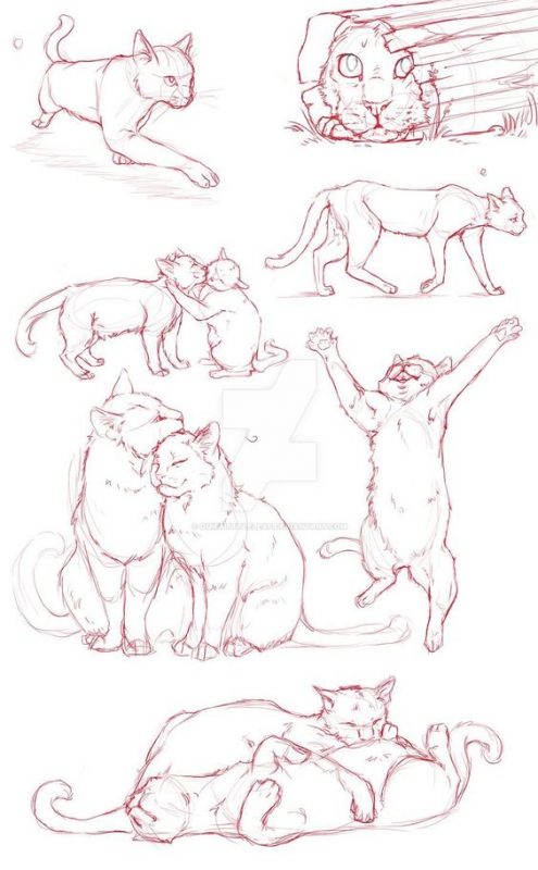51 top idées & tutos de dessins de chat : pour apprendre à dessiner un chat 45