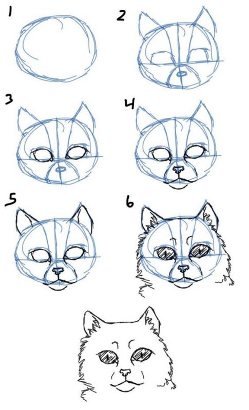 51 top idées & tutos de dessins de chat : pour apprendre à dessiner un chat 46