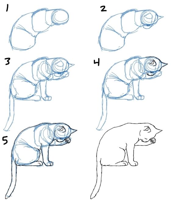 51 top idées & tutos de dessins de chat : pour apprendre à dessiner un chat 49