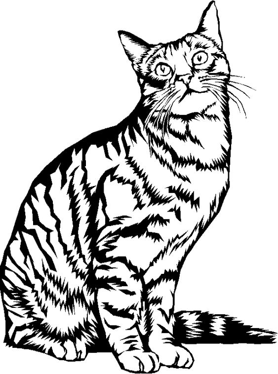 51 top idées & tutos de dessins de chat : pour apprendre à dessiner un chat 6