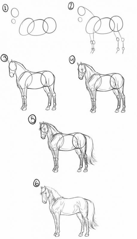 28 idées & tutos dessins de cheval : pour apprendre à dessiner des chevaux 11