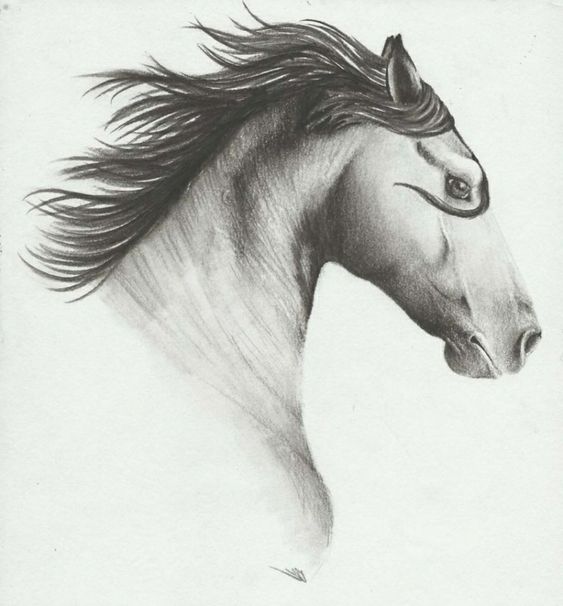 28 idées & tutos dessins de cheval : pour apprendre à dessiner des chevaux 12