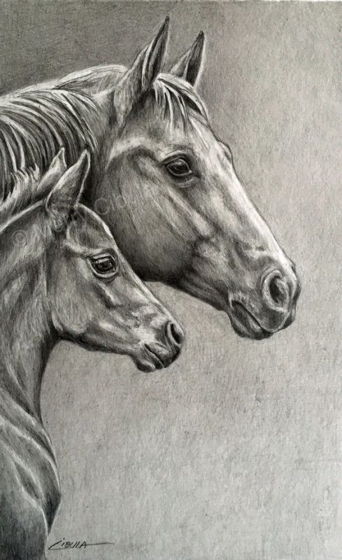 28 idées & tutos dessins de cheval : pour apprendre à dessiner des chevaux 13