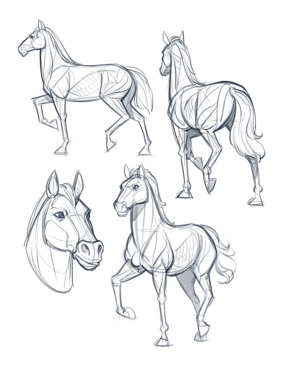 28 idées & tutos dessins de cheval : pour apprendre à dessiner des chevaux 19
