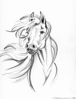 28 idées & tutos dessins de cheval : pour apprendre à dessiner des chevaux 3