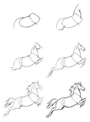 28 idées & tutos dessins de cheval : pour apprendre à dessiner des chevaux 24