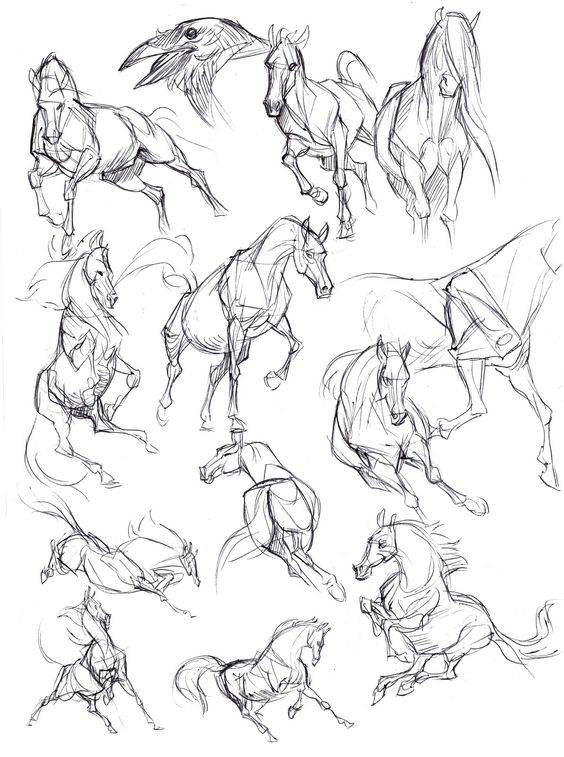 28 idées & tutos dessins de cheval : pour apprendre à dessiner des chevaux 27