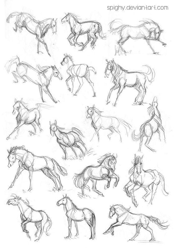 28 idées & tutos dessins de cheval : pour apprendre à dessiner des chevaux 28
