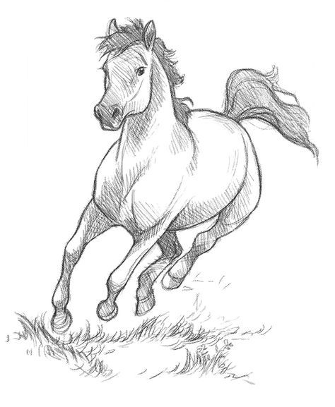 28 idées & tutos dessins de cheval : pour apprendre à dessiner des chevaux 4