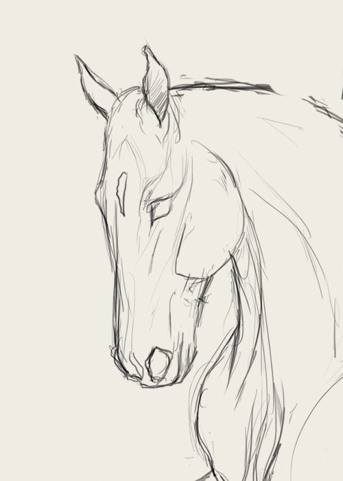 28 idées & tutos dessins de cheval : pour apprendre à dessiner des chevaux 9
