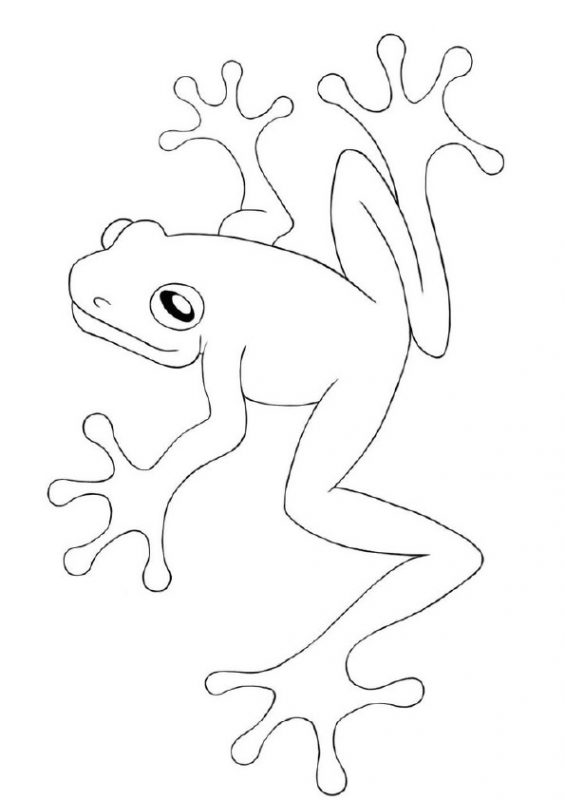 41 top idées de dessins & coloriages de grenouilles 16