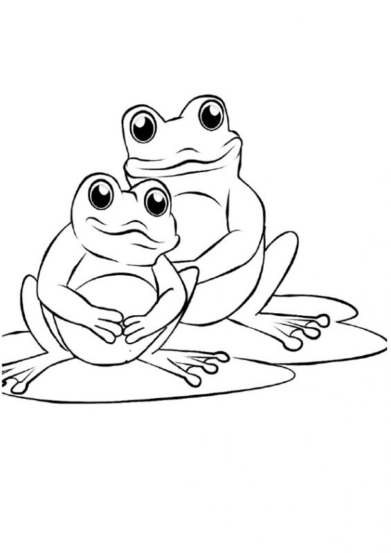 41 top idées de dessins & coloriages de grenouilles 22