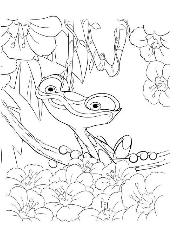 41 top idées de dessins & coloriages de grenouilles 25