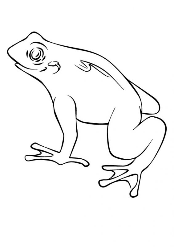 41 top idées de dessins & coloriages de grenouilles 32
