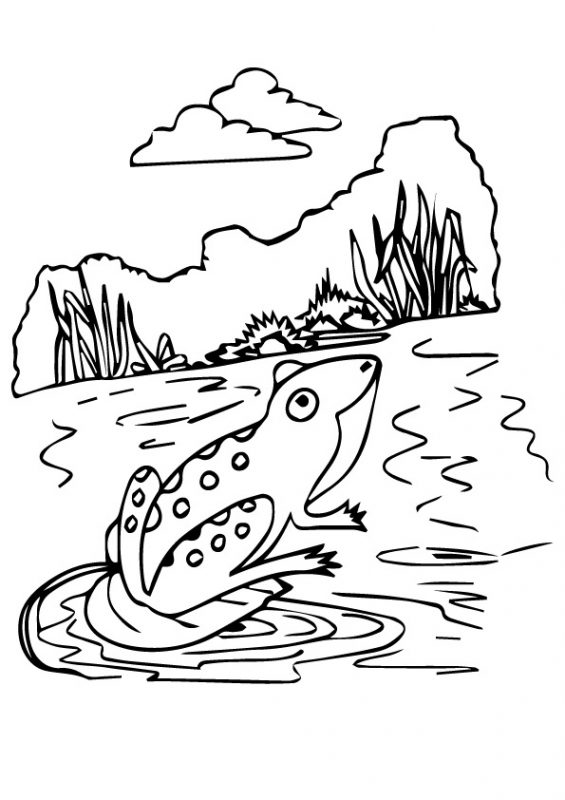 41 top idées de dessins & coloriages de grenouilles 37