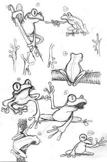 41 top idées de dessins & coloriages de grenouilles 9
