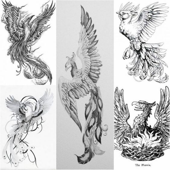 100 top idées de tatouages Phoenix 36
