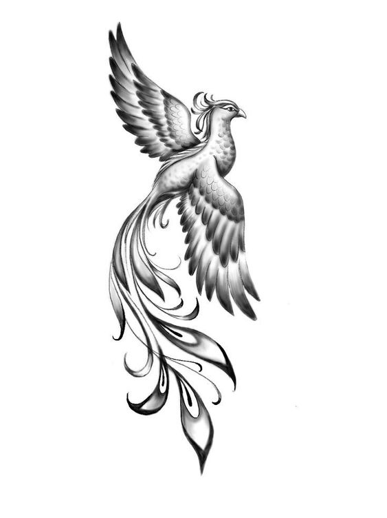 100 top idées de tatouages Phoenix 47