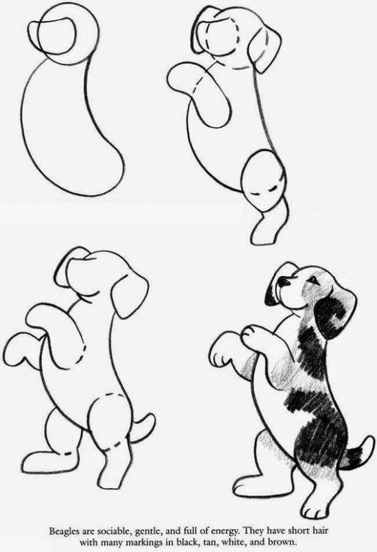 66 top idées & tutos de dessins de chiens : pour apprendre à dessiner des chiens 14