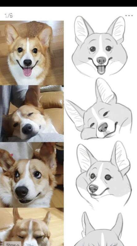 66 top idées & tutos de dessins de chiens : pour apprendre à dessiner des chiens 30