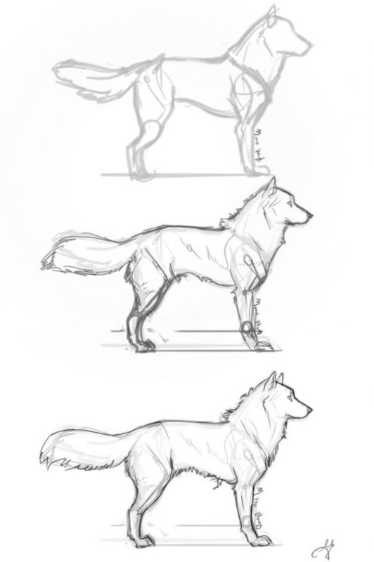 66 top idées & tutos de dessins de chiens : pour apprendre à dessiner des chiens 32