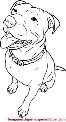 66 top idées & tutos de dessins de chiens : pour apprendre à dessiner des chiens 46