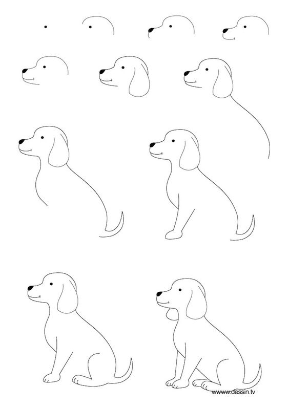 66 top idées & tutos de dessins de chiens : pour apprendre à dessiner des chiens 6