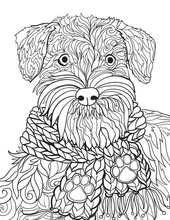 66 top idées & tutos de dessins de chiens : pour apprendre à dessiner des chiens 52