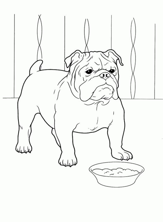 66 top idées & tutos de dessins de chiens : pour apprendre à dessiner des chiens 53