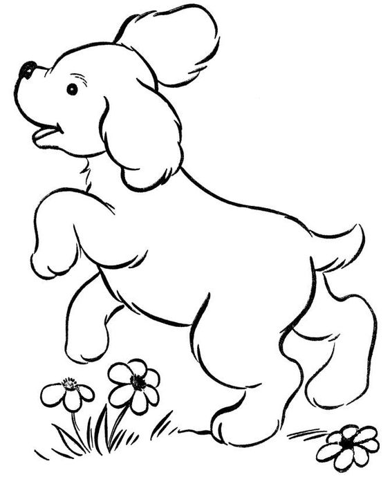 66 top idées & tutos de dessins de chiens : pour apprendre à dessiner des chiens 55